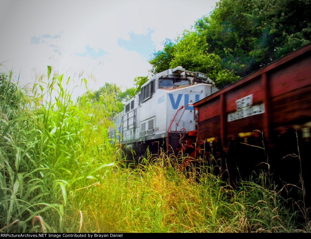 VLI 8683